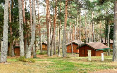 CAMPING     verdoyant et arboré